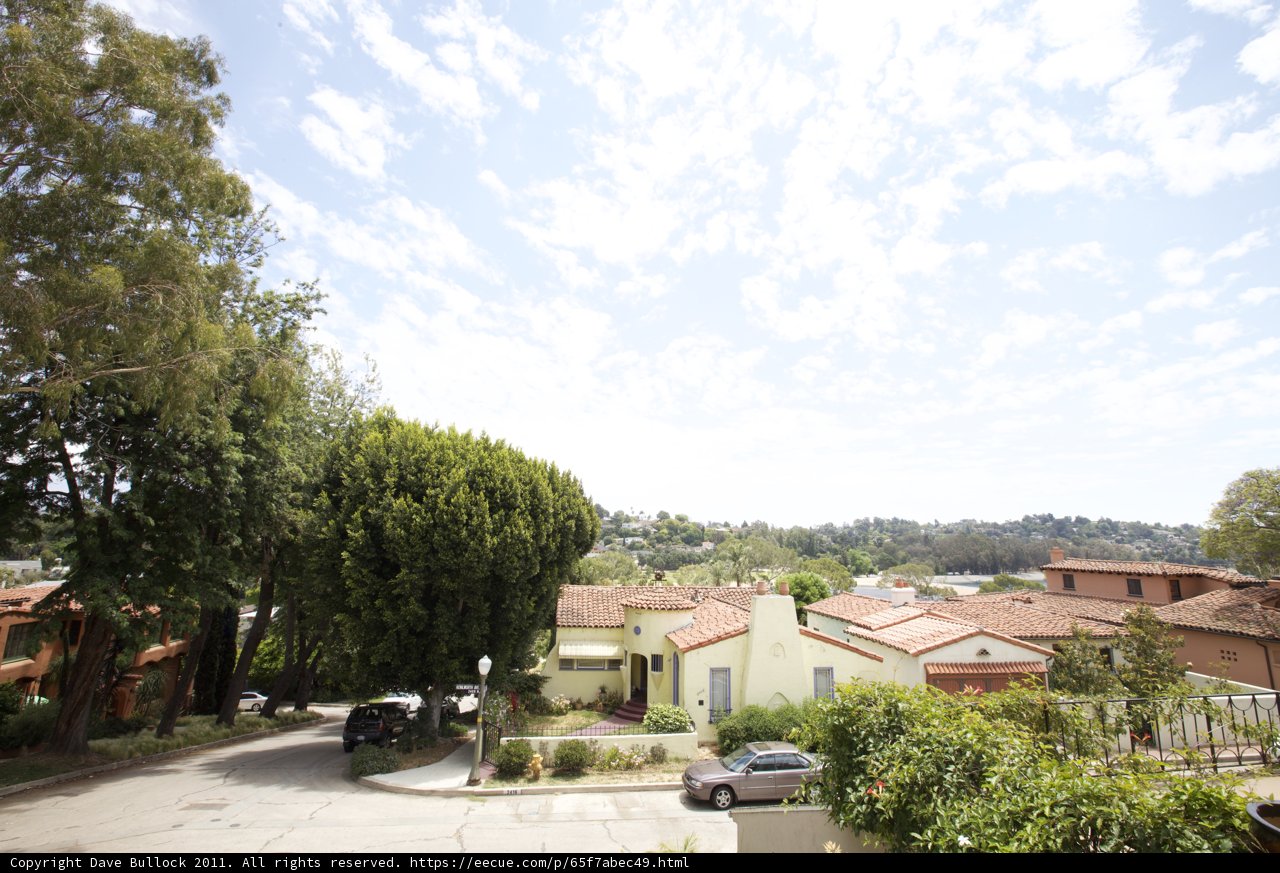 Serene Neighborhood View