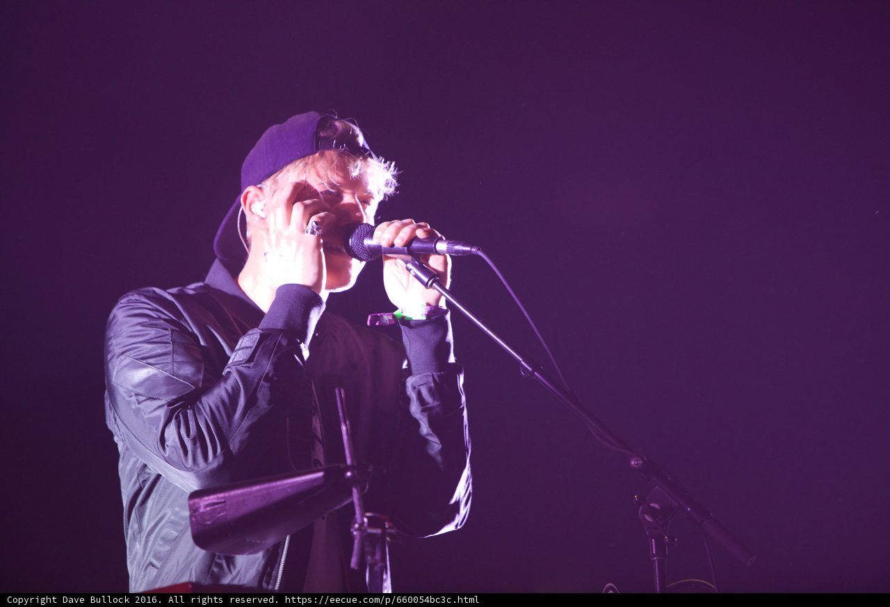 The Entertainer's Spotlight