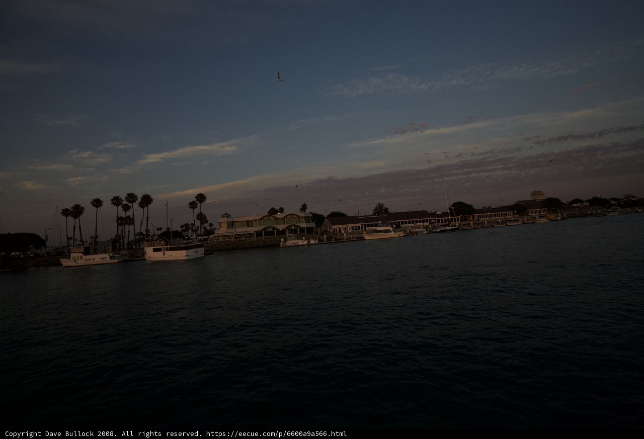 Sunset Kite Flying at the Harbor