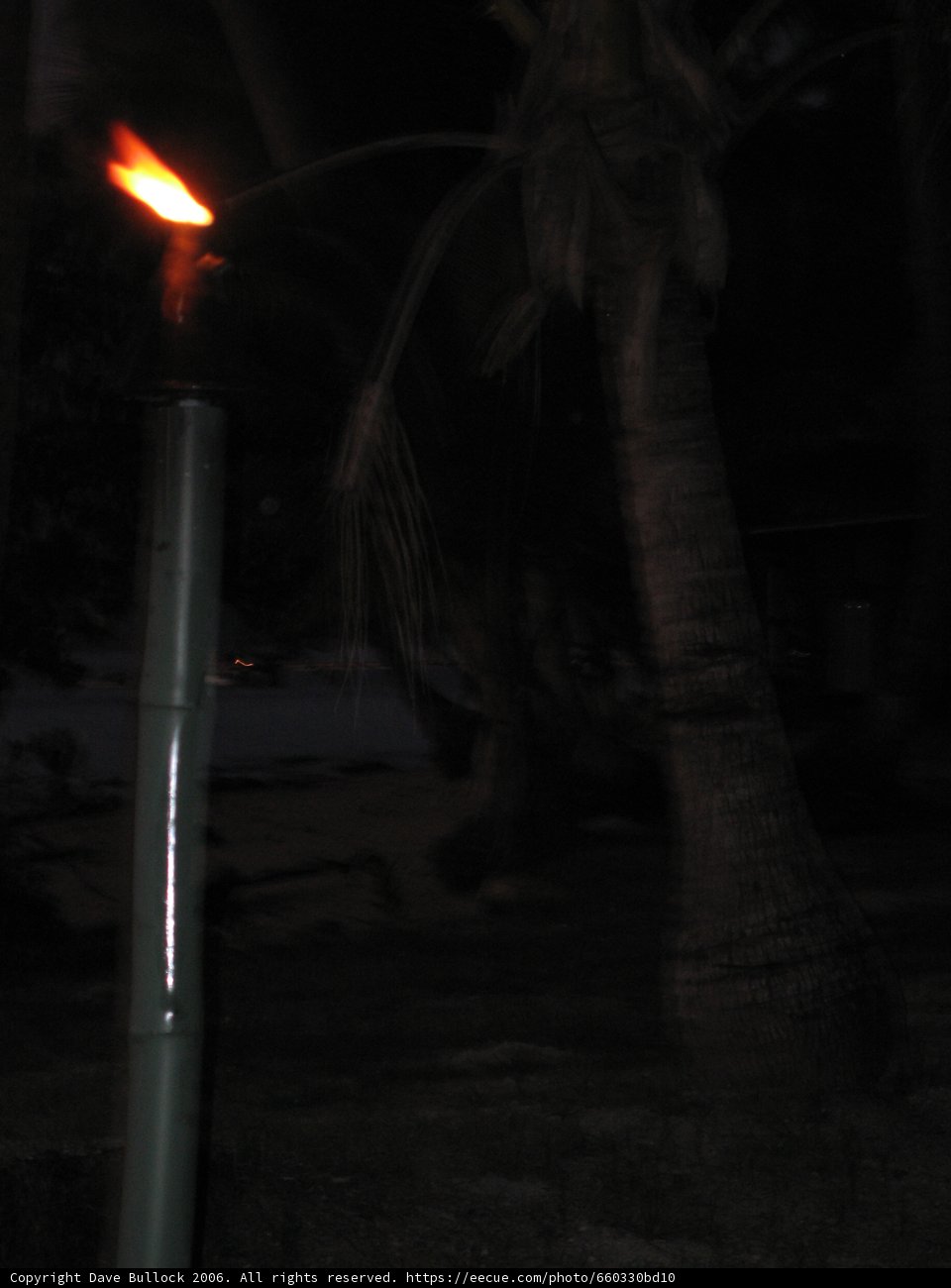 Lighting up the Night