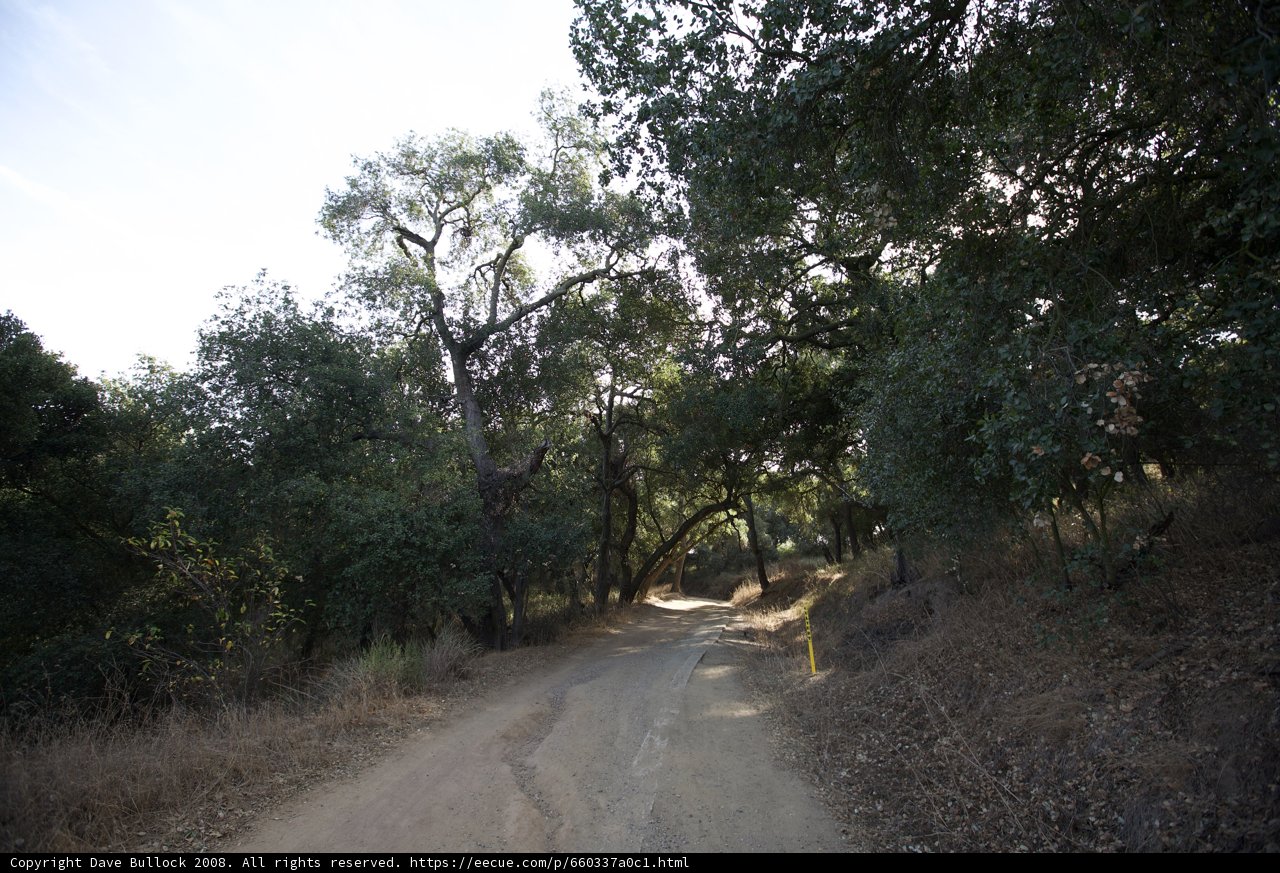 Serenity on the Dirt Road