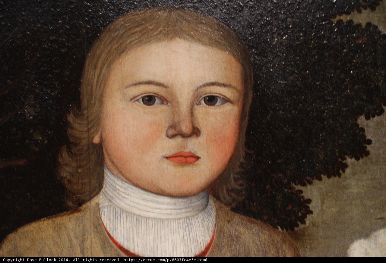 Portrait of a Young Boy with a White Collar