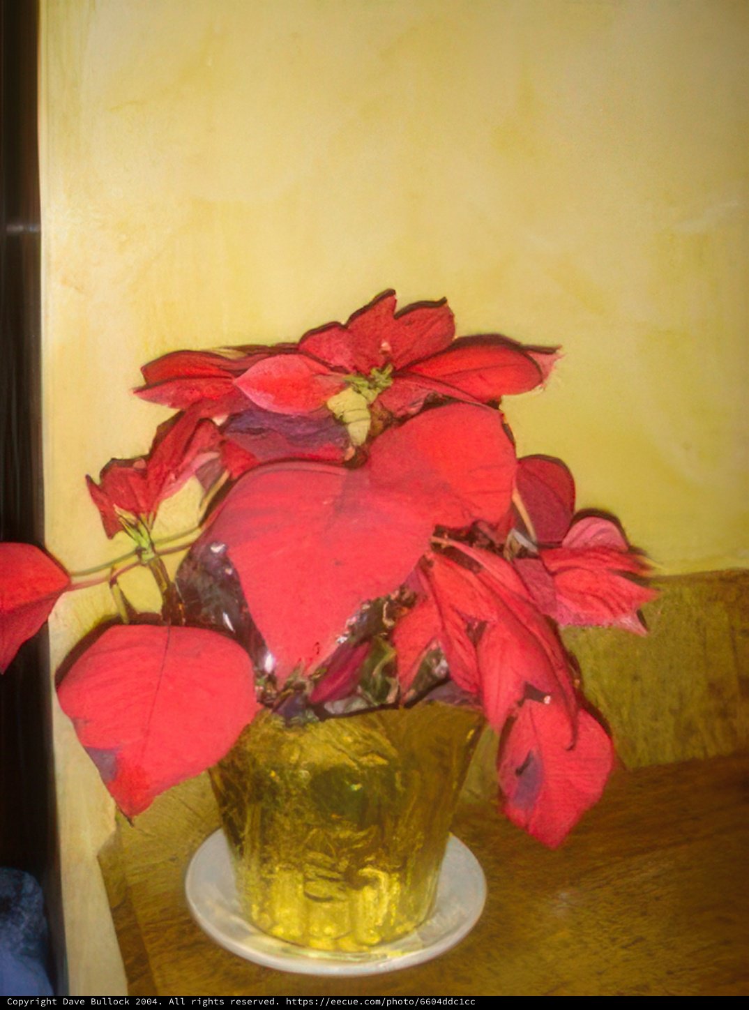 Golden Vase Blooms