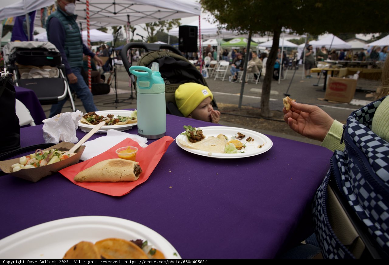 Festive Flavors: A Taco Adventure