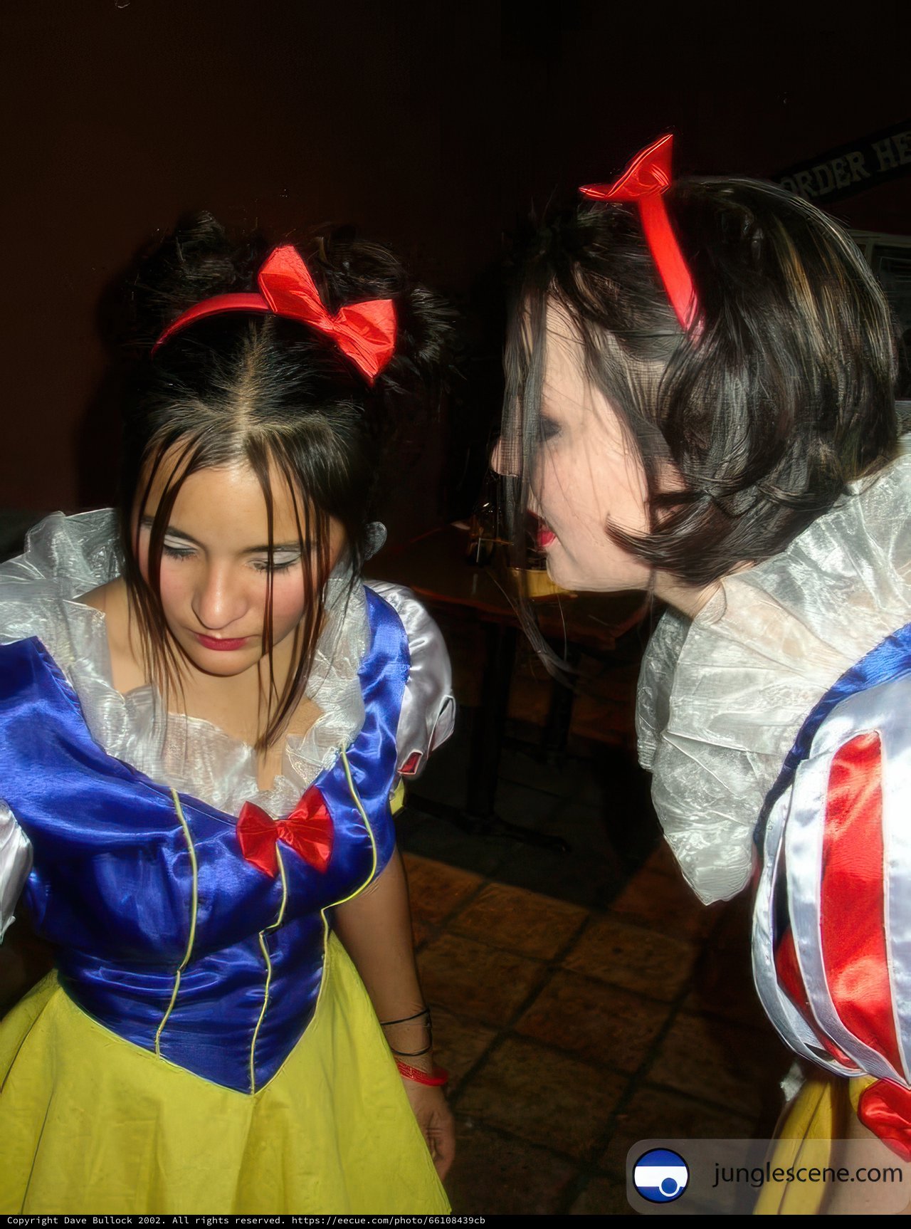 Snow White and the Seven Dwarves Revisited