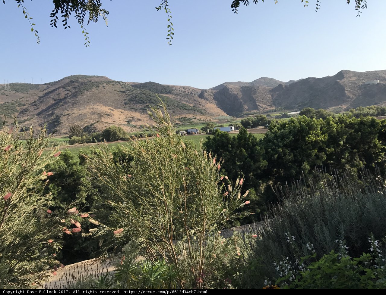 Mountain Escapade