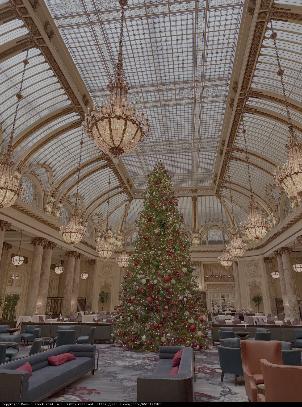 Elegant Christmas Tree in Grand Hotel Ballroom
