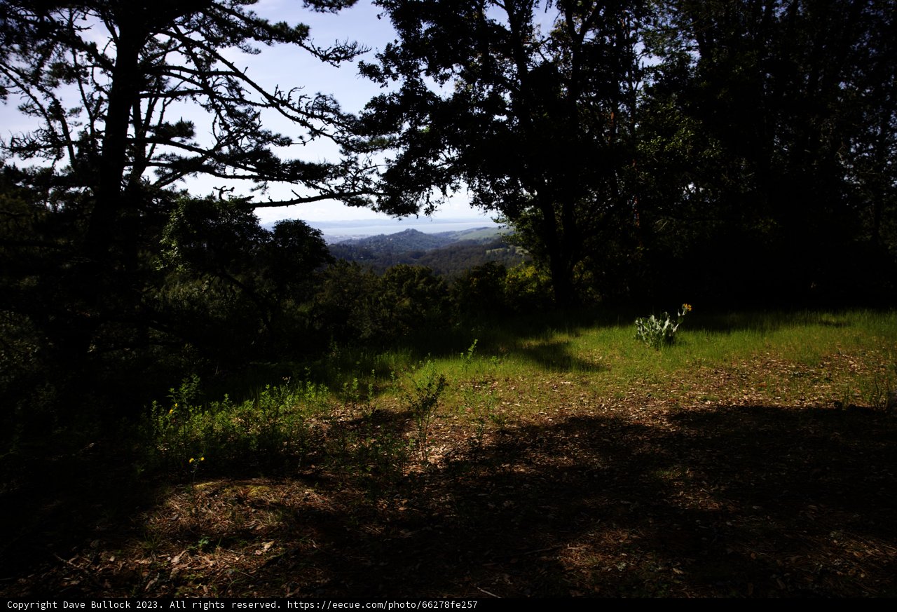 Serenity at Tilden Regional Park
