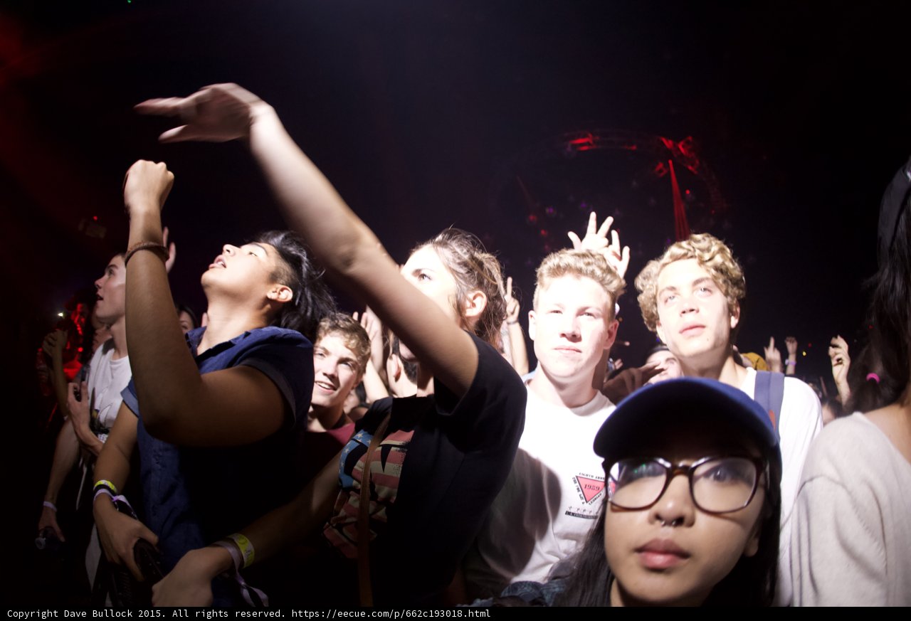 Young Fans in Spotlight