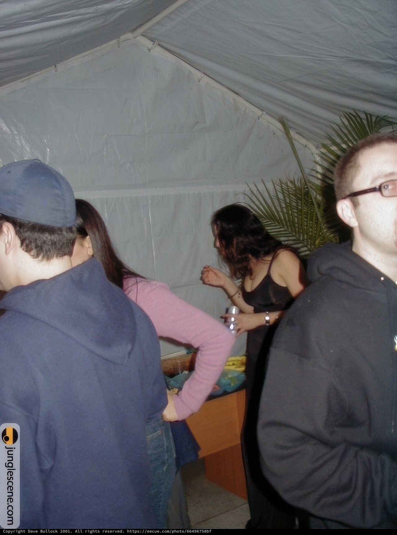 New Year's Eve Camping Trip with Friends