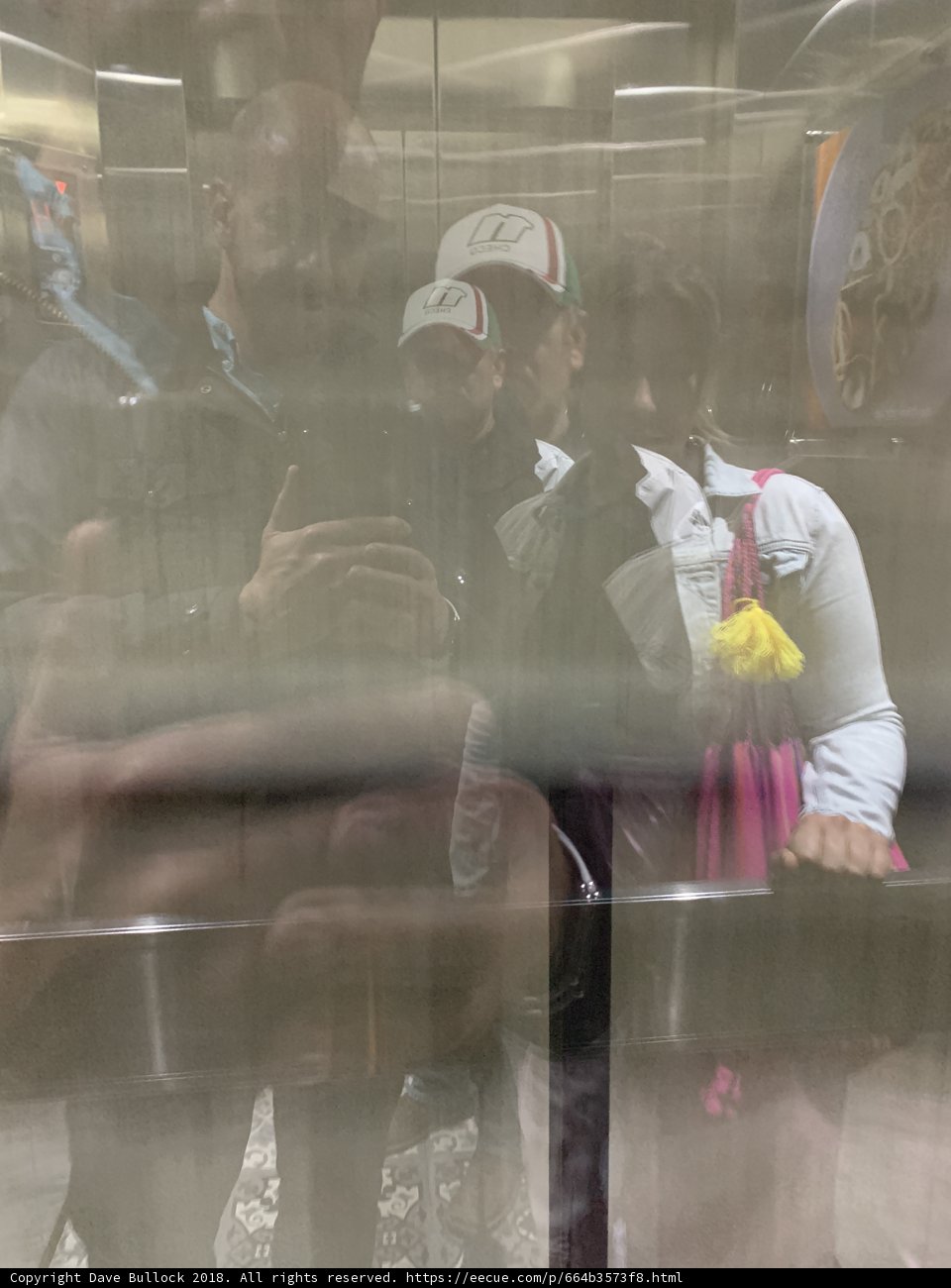 Elevator Encounter
