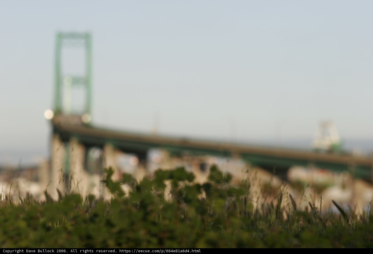 Blurry Bridge in the Metropolis