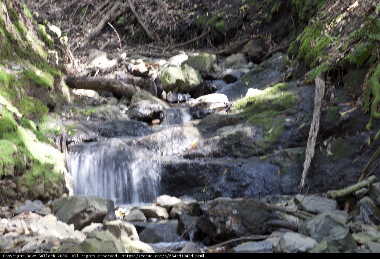 Serene Stream in the Forest