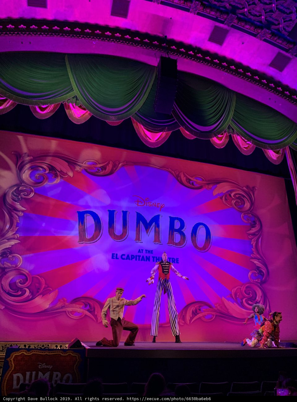 Dumbo Takes the Stage: A Musical Extravaganza