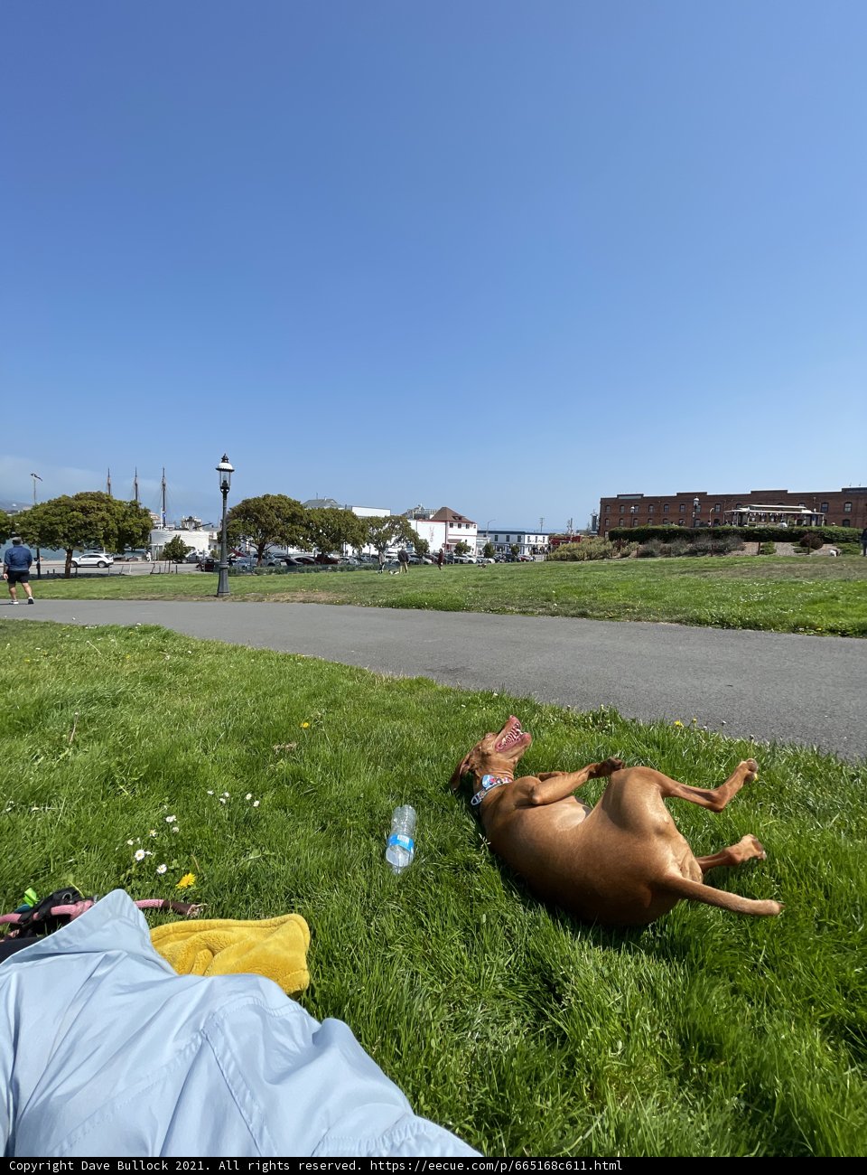 Relaxing in the Park