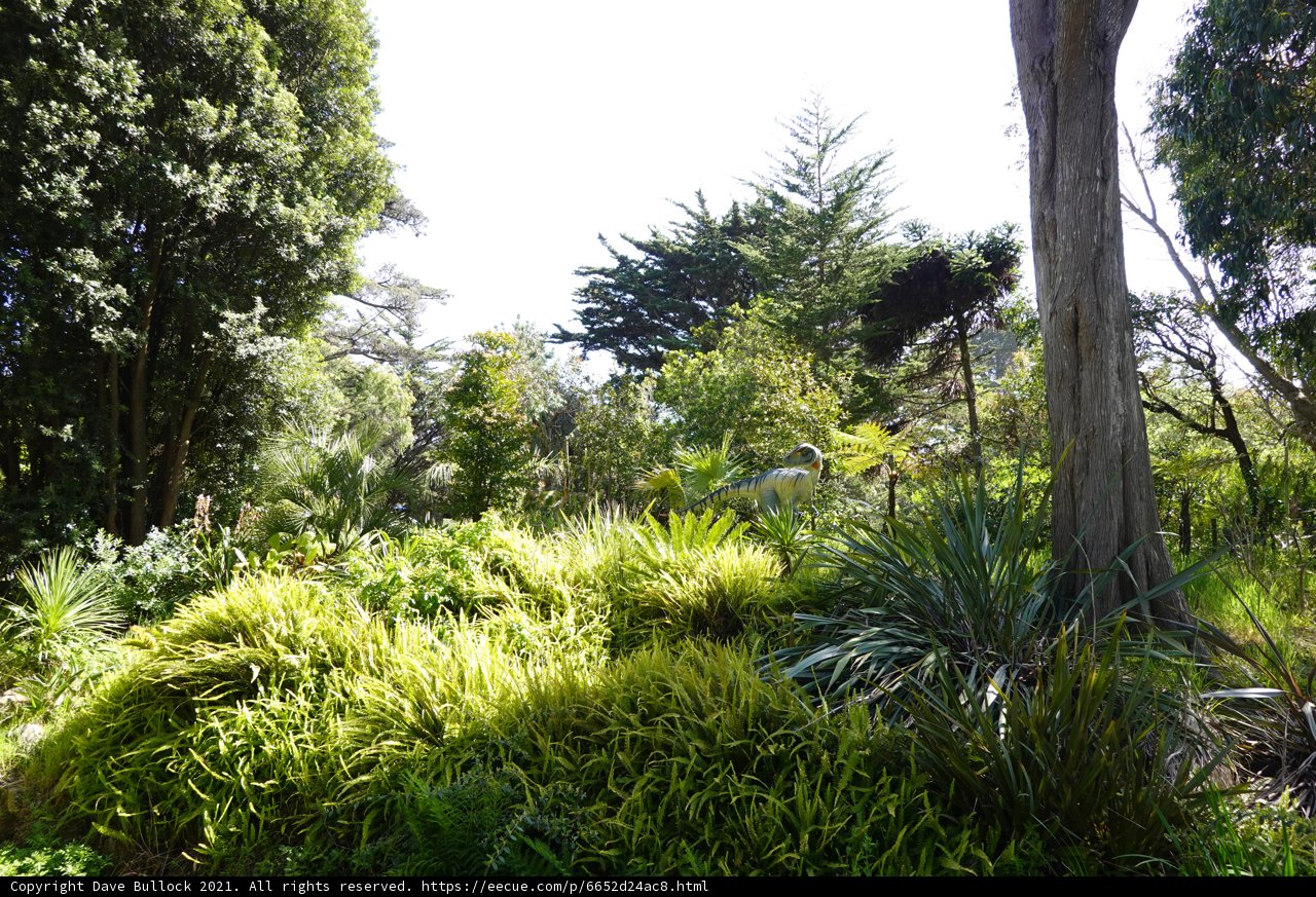 Lush Garden Paradise