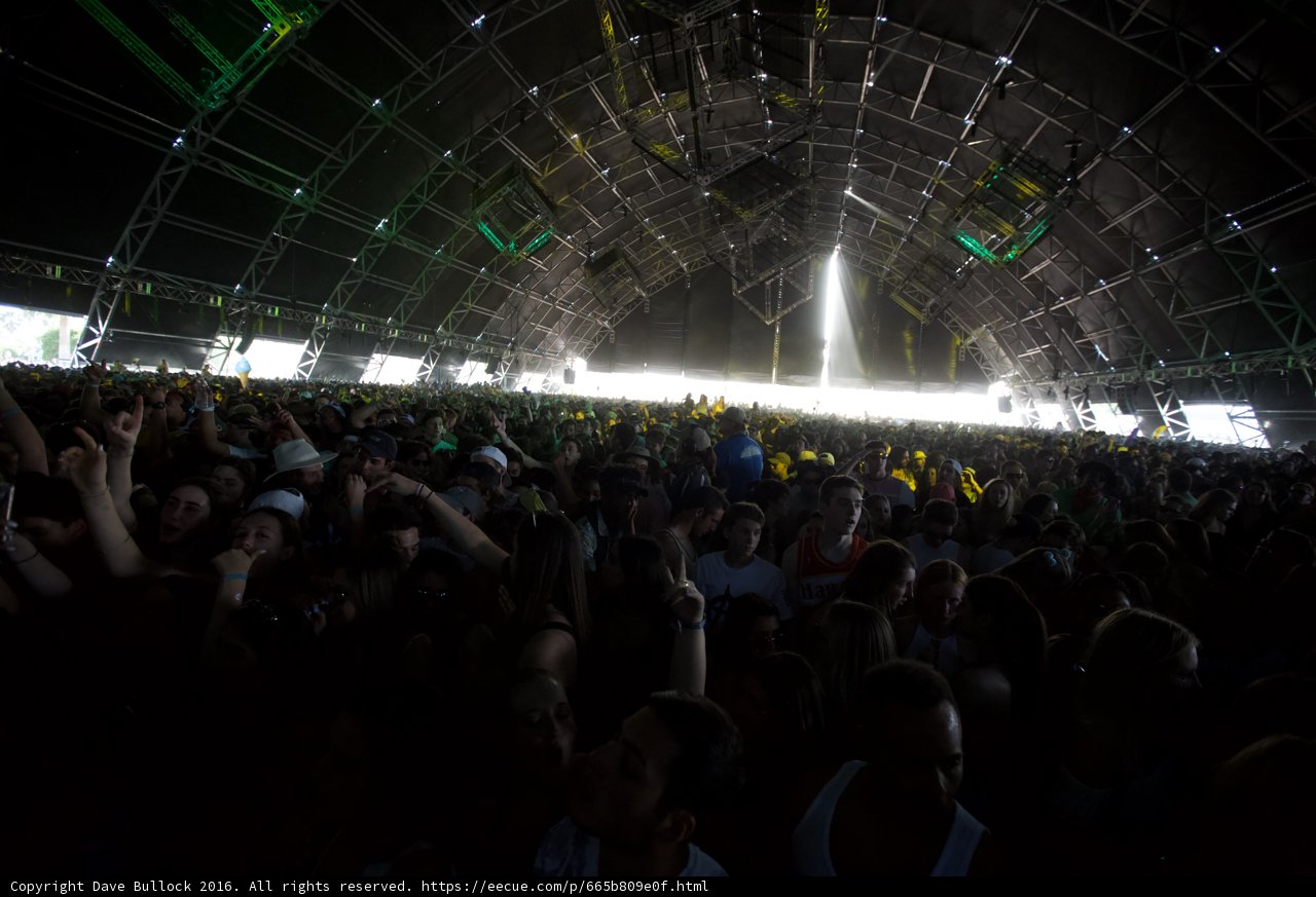 Green Lights Concert Crowd