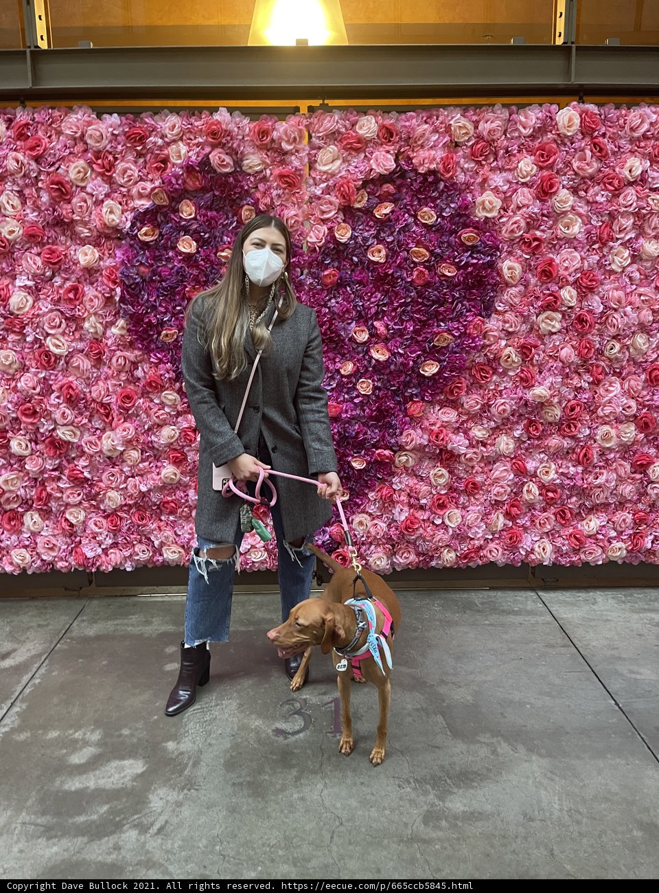 Masked Woman and her Flowered Furry Friend