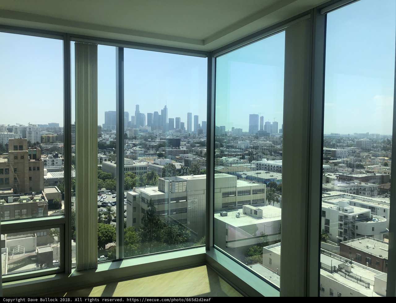 Overlooking the Urban Jungle