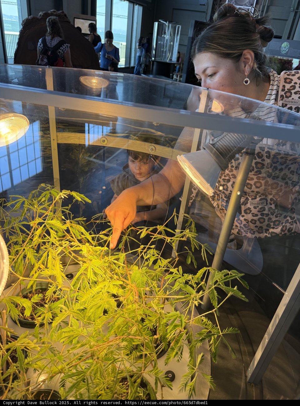Curious Minds at the Aquarium