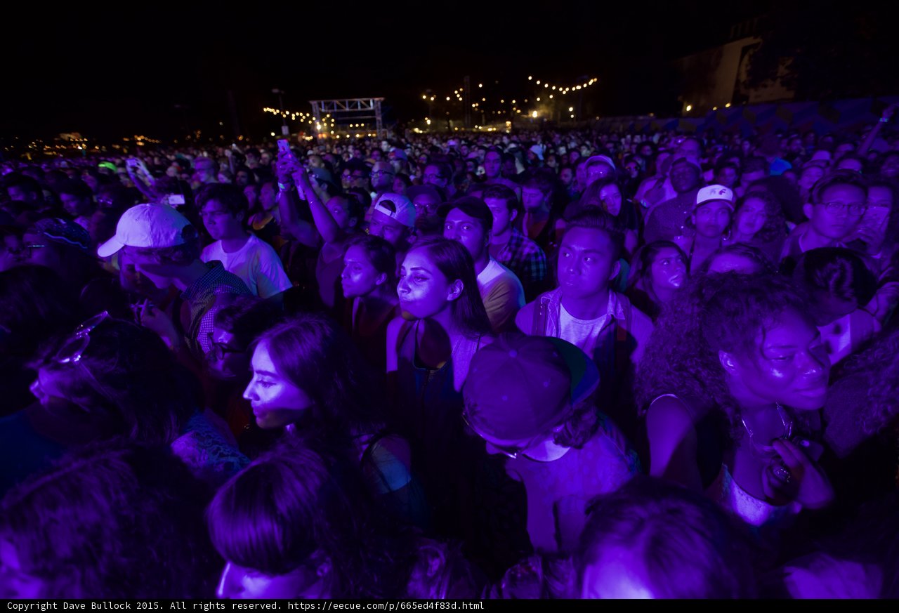 Massive Crowd Purple Light Stage Background Night