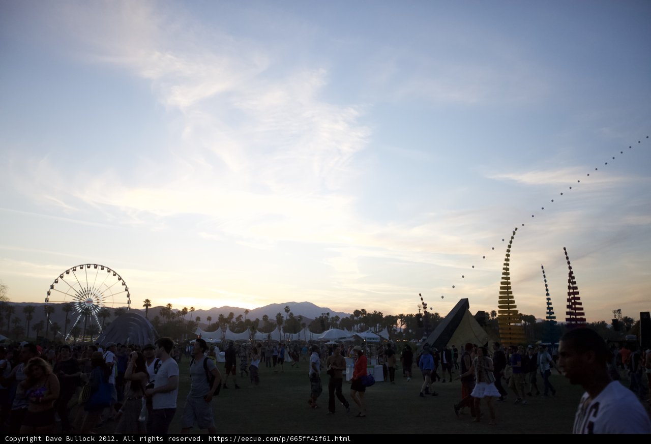 Ferris Wheel Fun at Coachella Festival