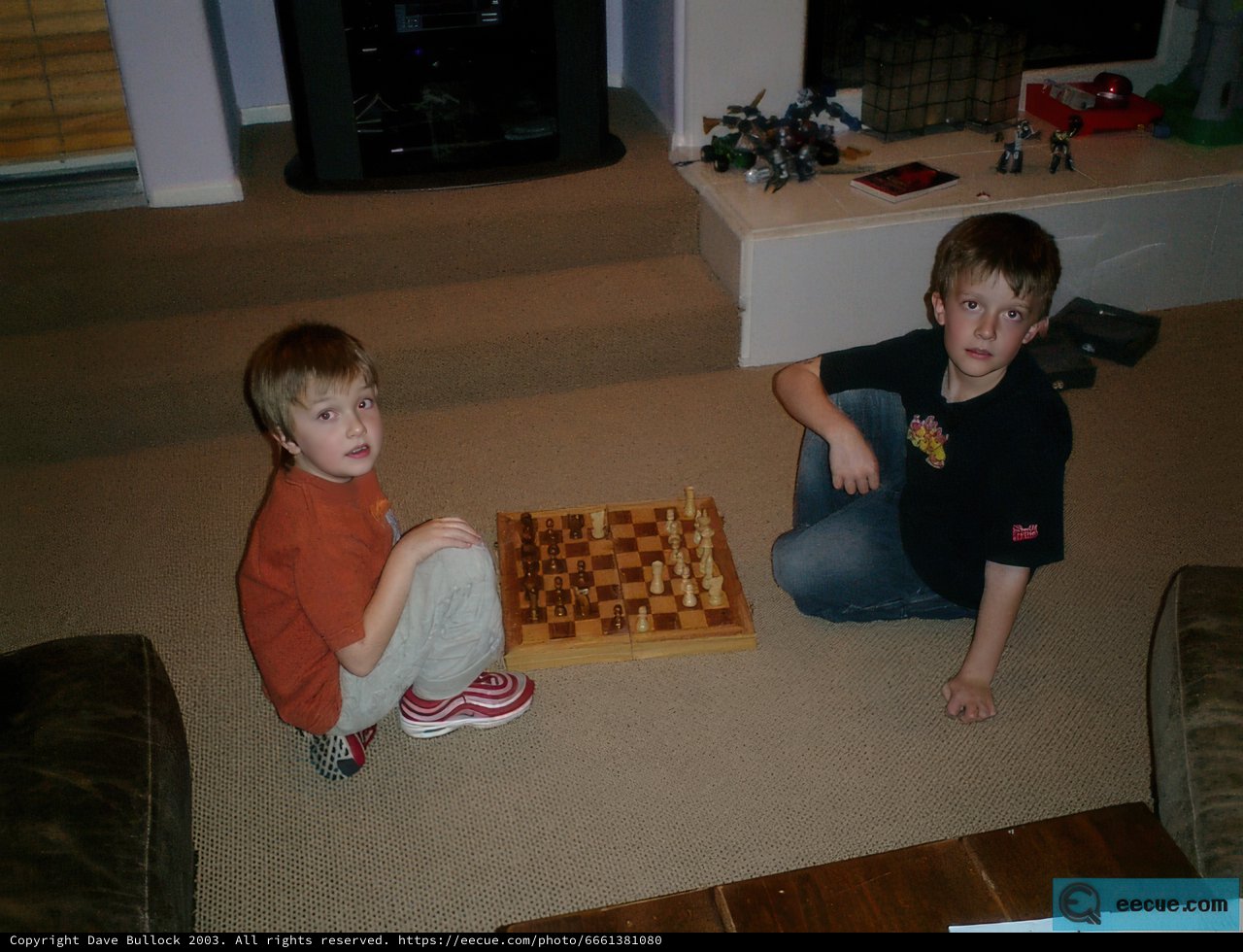 Chess Match on the Living Room Rug