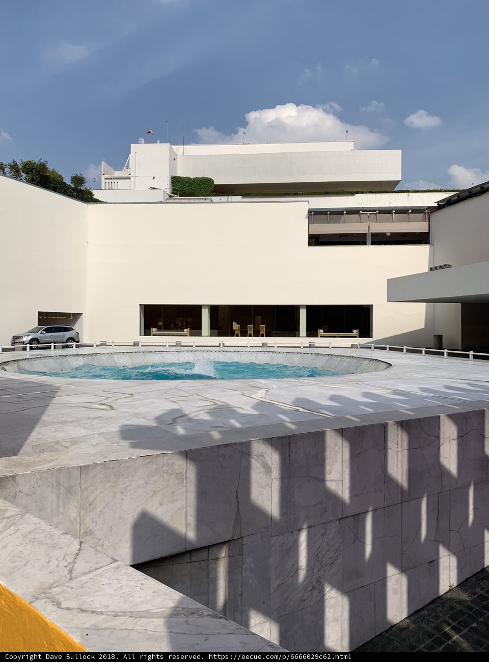 The Oasis in the Concrete Jungle