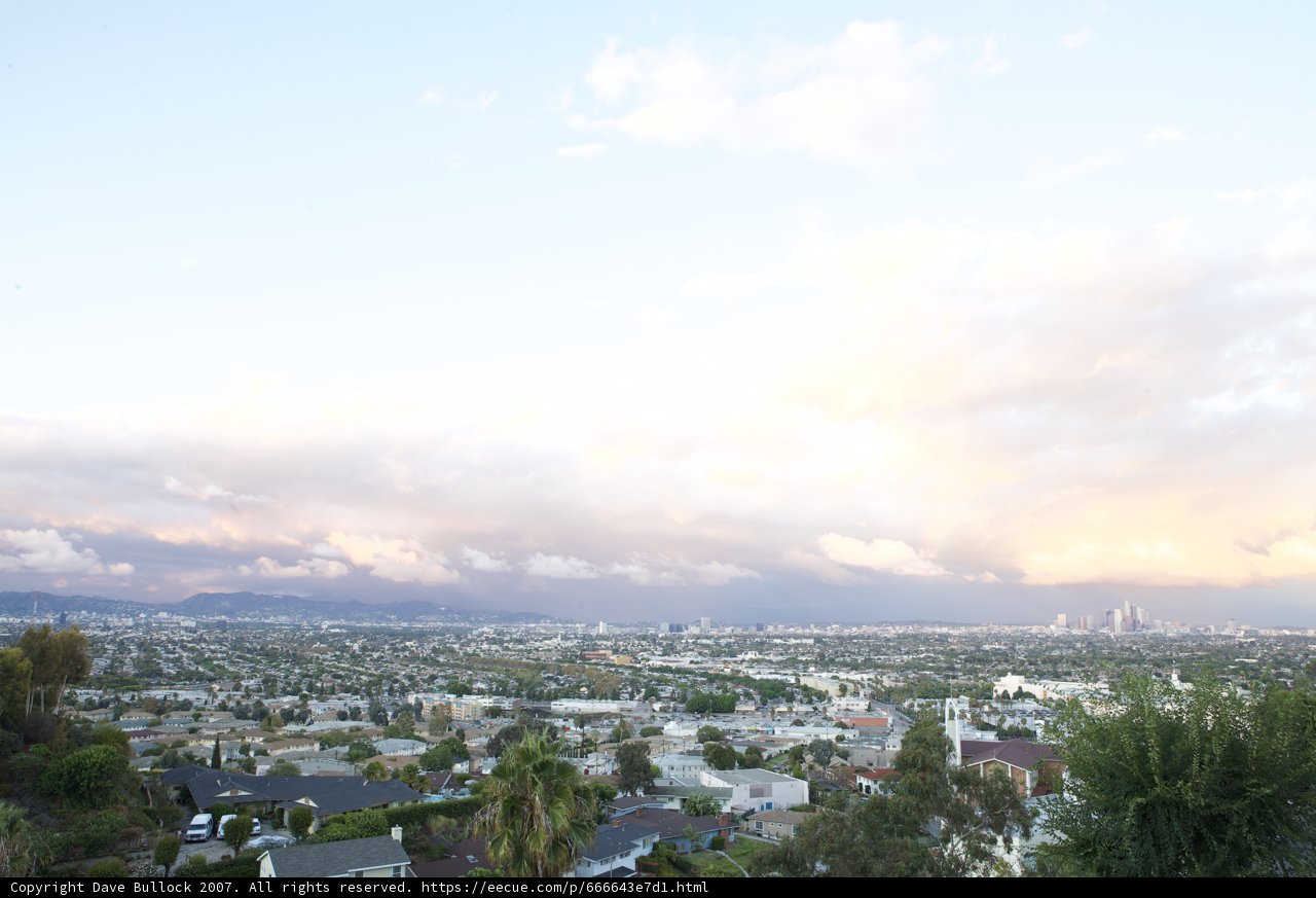 A Bird's Eye View of the Urban Jungle