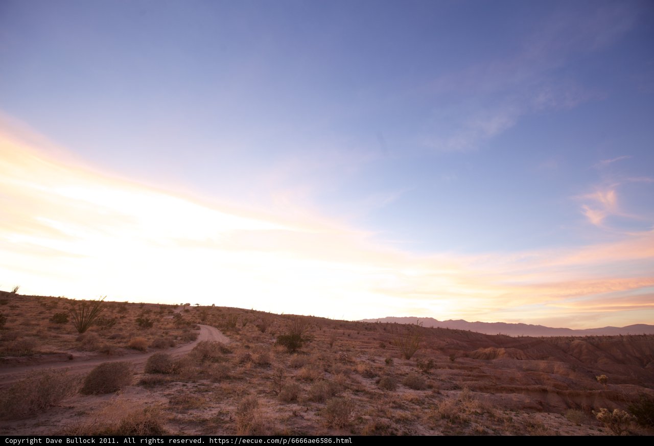 Desert's Glowing Path