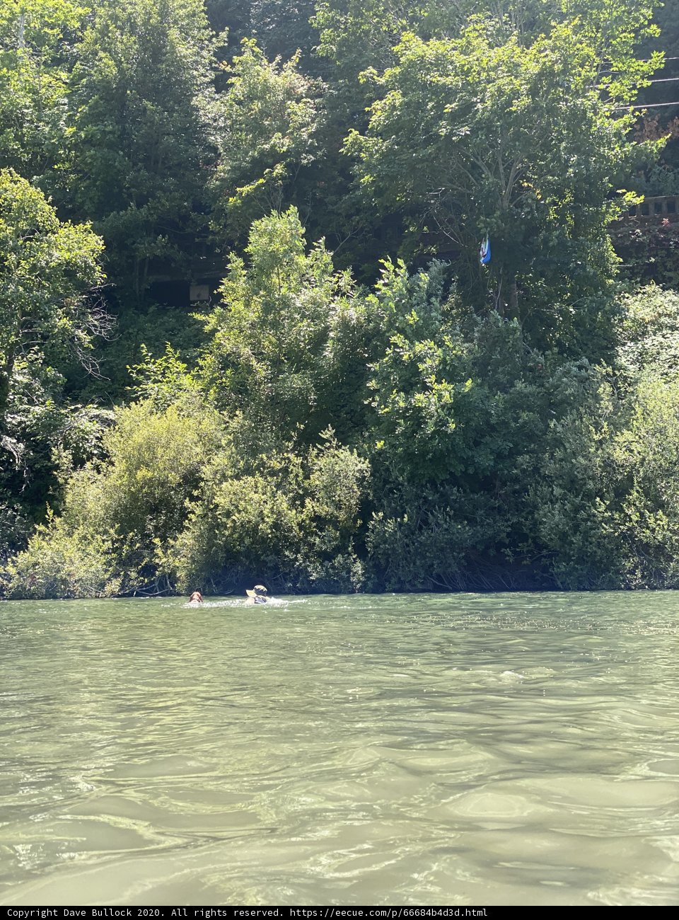 Floating in Nature's Paradise