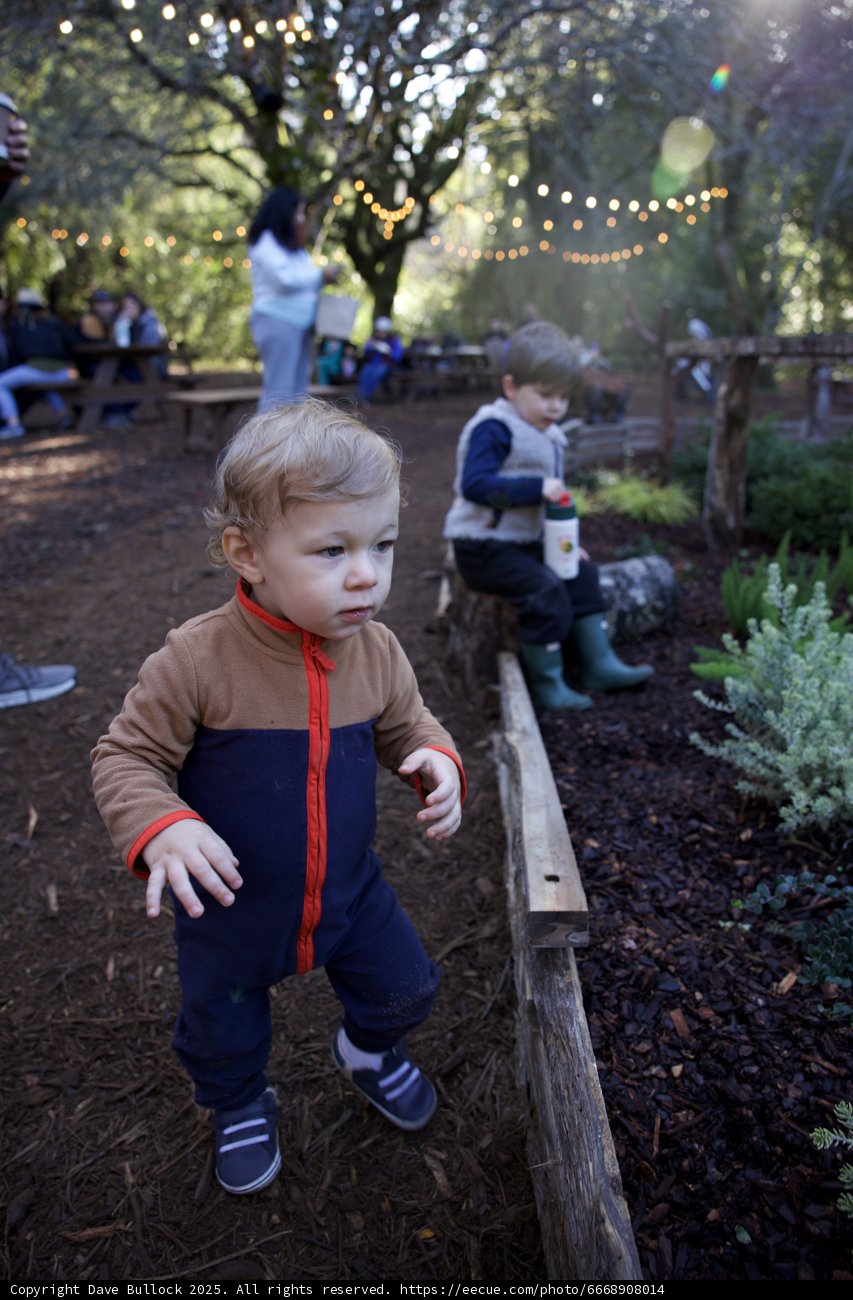 Autumn Adventures at Thistlewyck