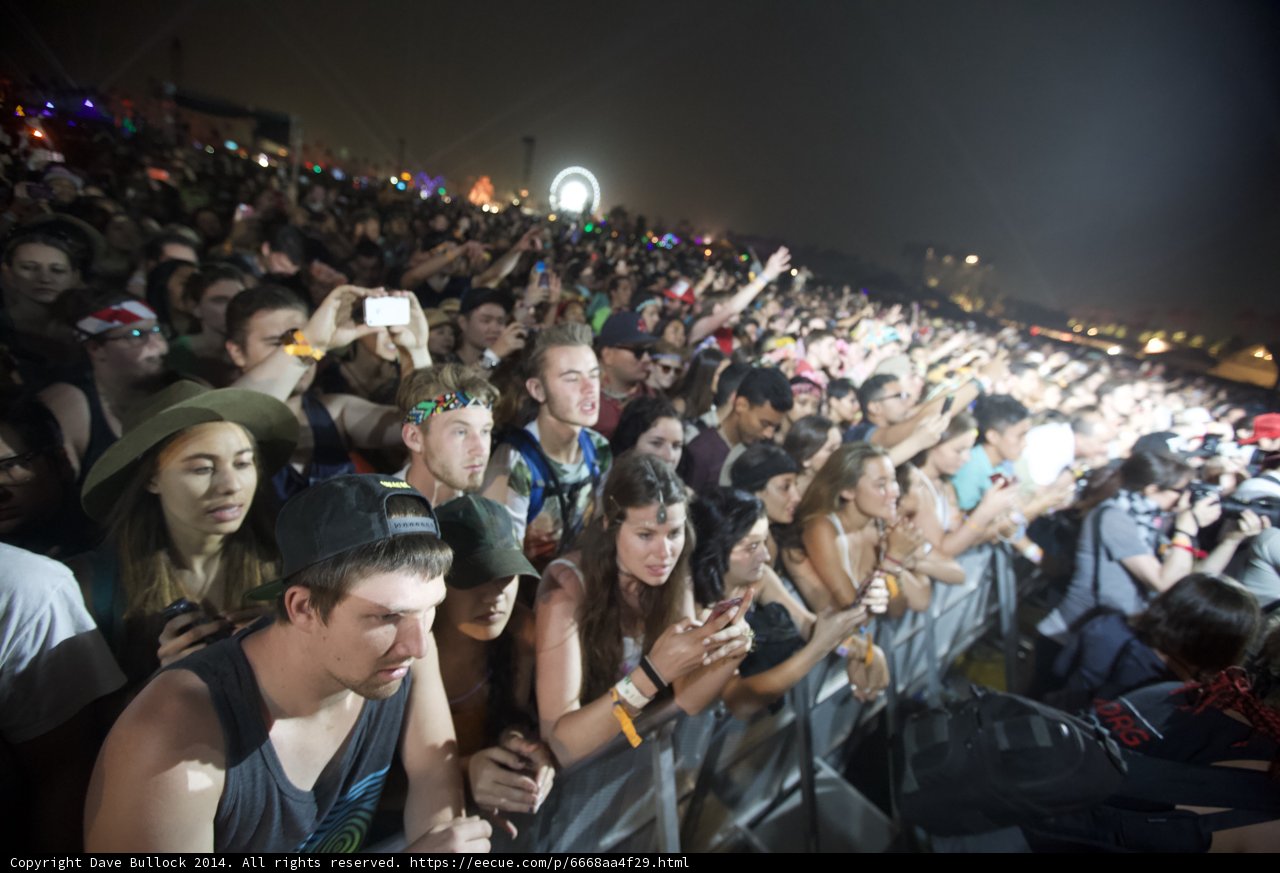 Night Sky Concertgoers