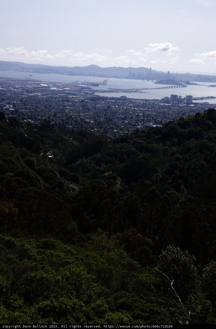 Soaring High Above the Berkeley Hills