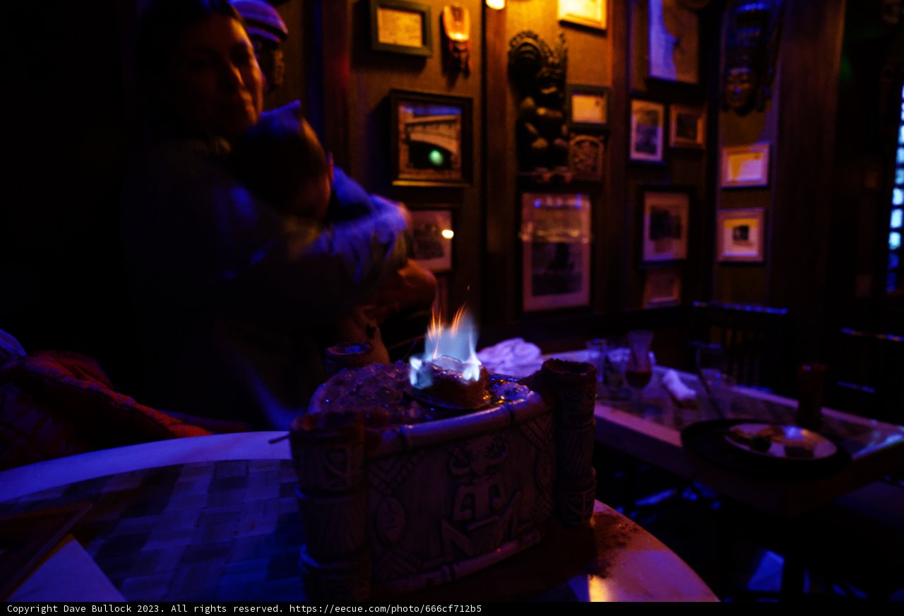 Cherished Moments at Disneyland