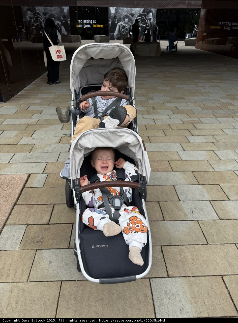 Strollers at the Museum