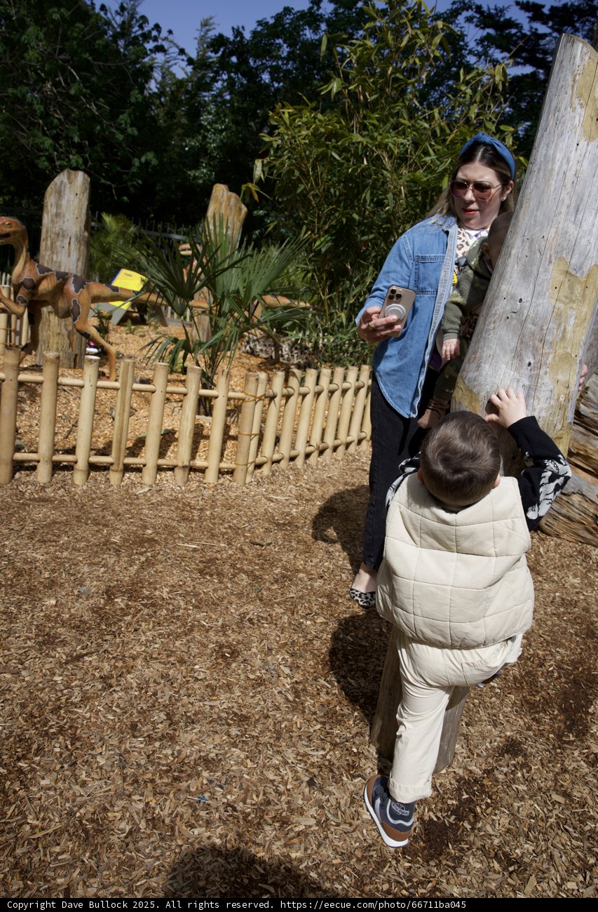 Exploring the Prehistoric Past