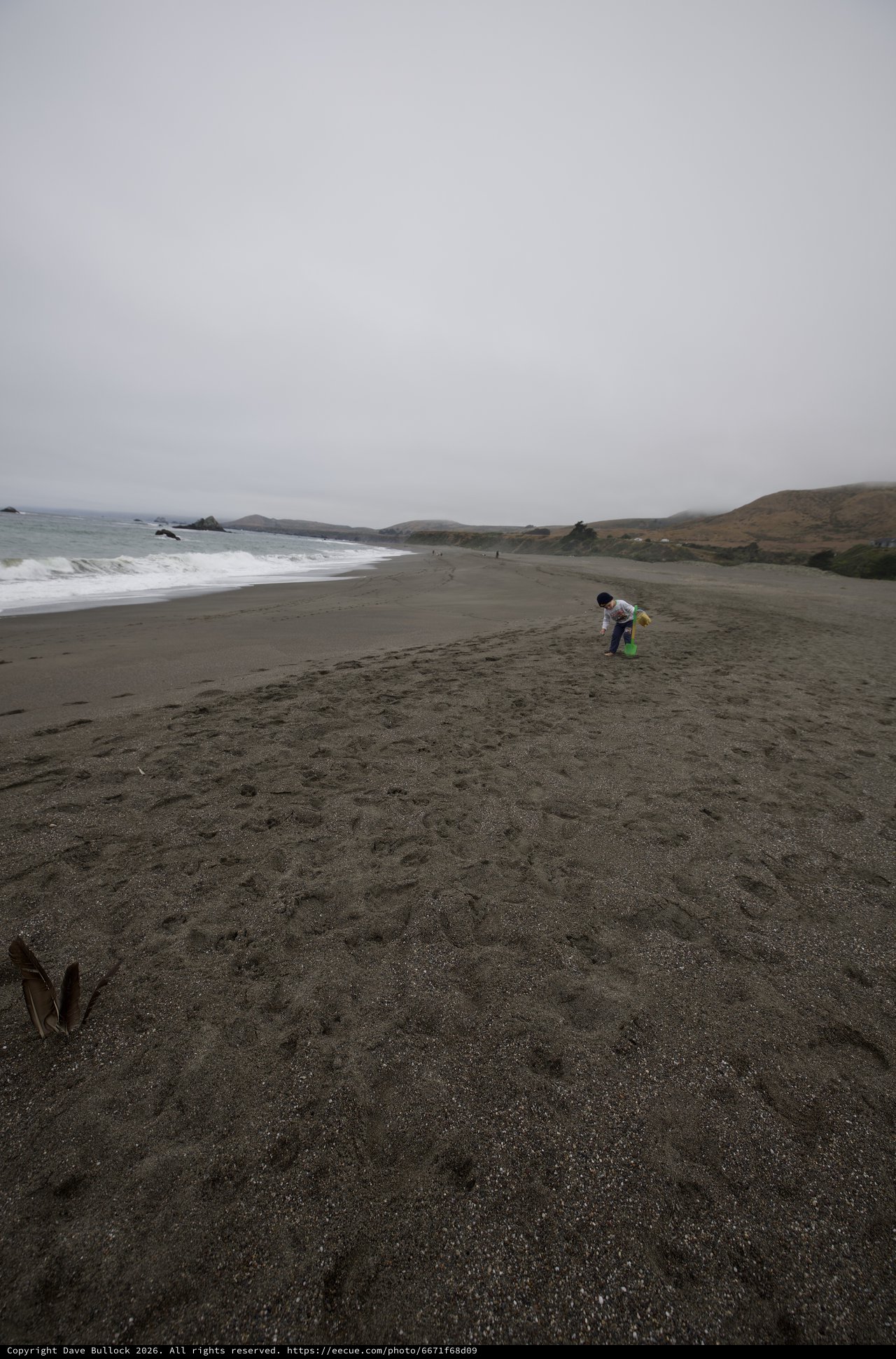 Child Exploring Foggy Northern California Coastline