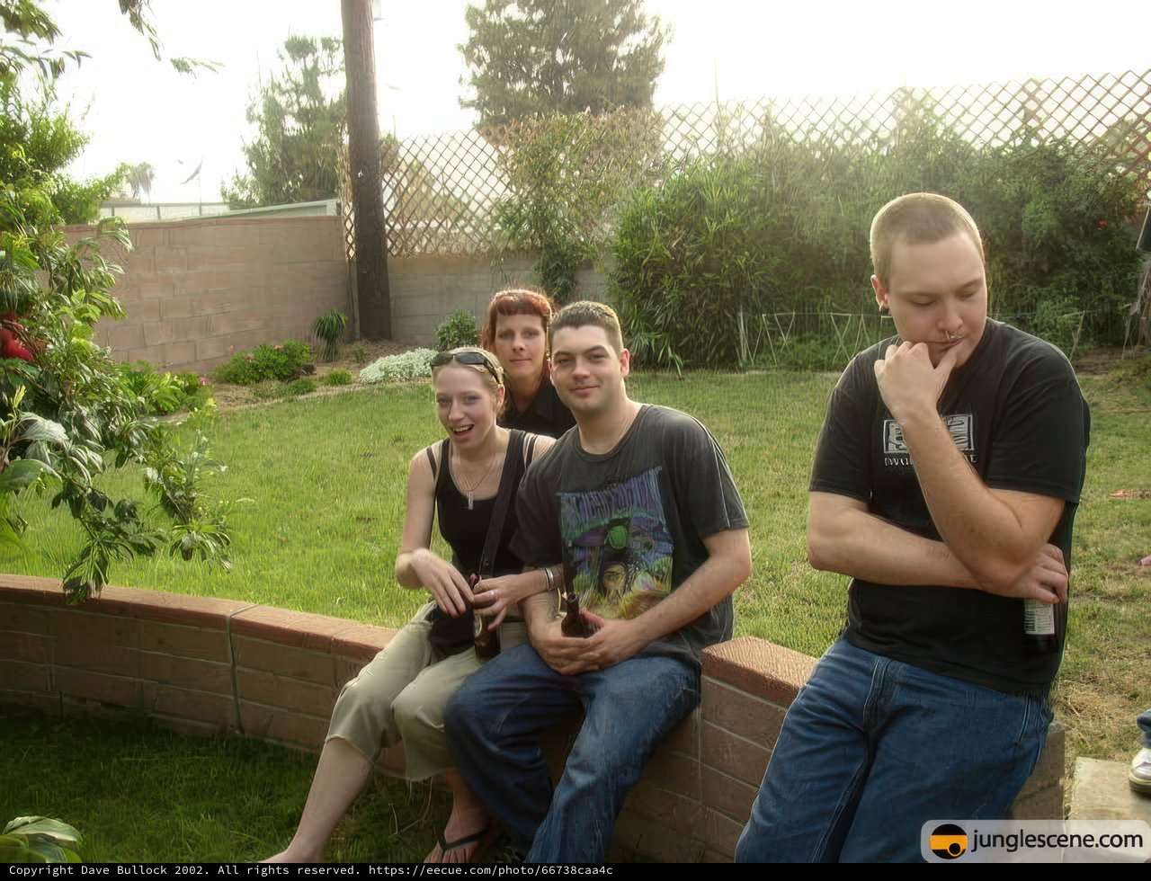 Backyard Hangout