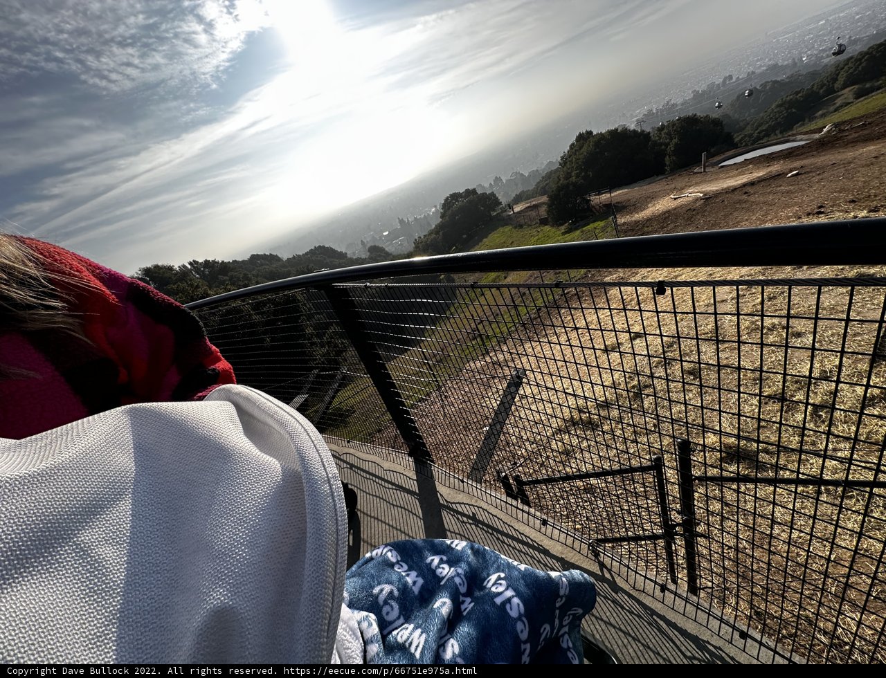 A Peaceful Afternoon at the Oakland Zoo