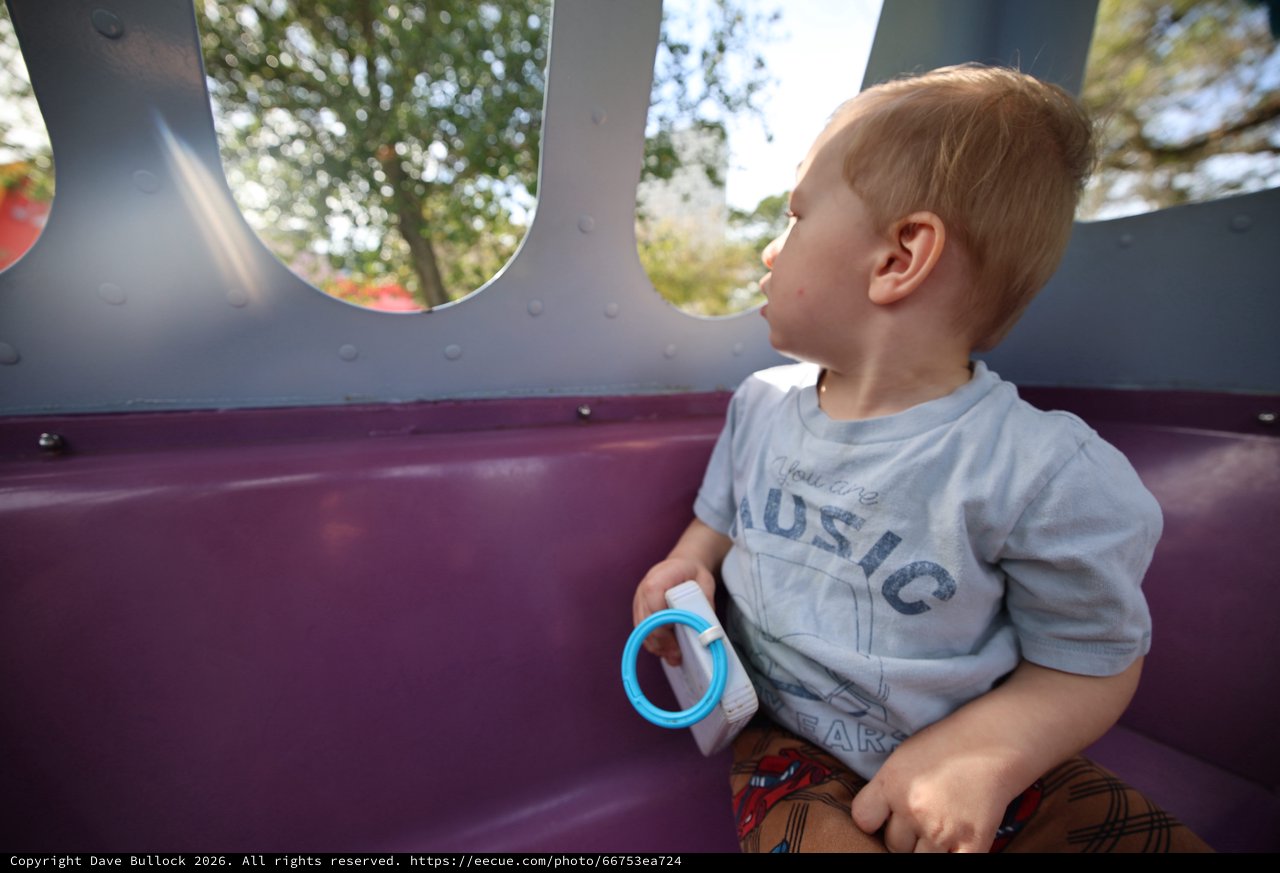 Young Child Gazing Out from Playground Structure