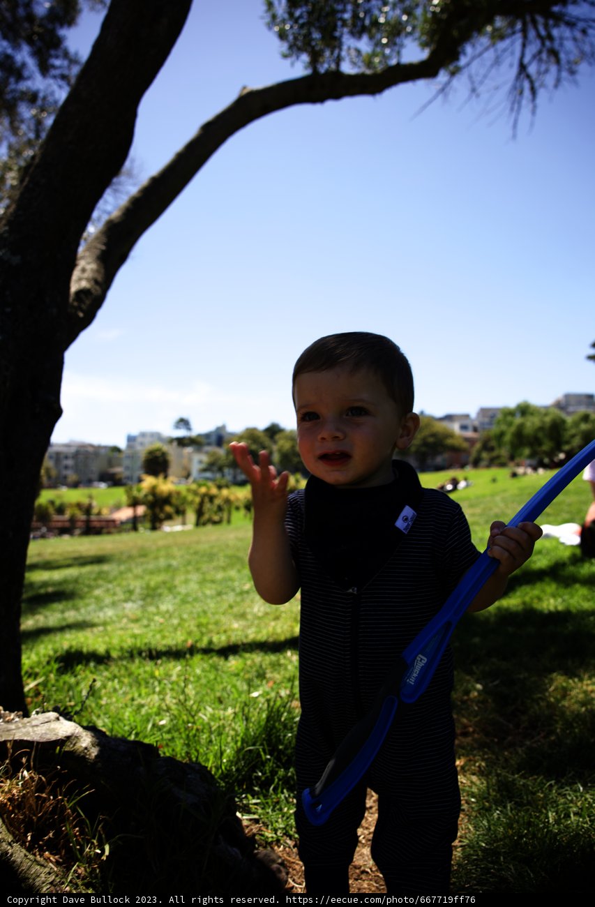 Summer Frolics at Delores Park