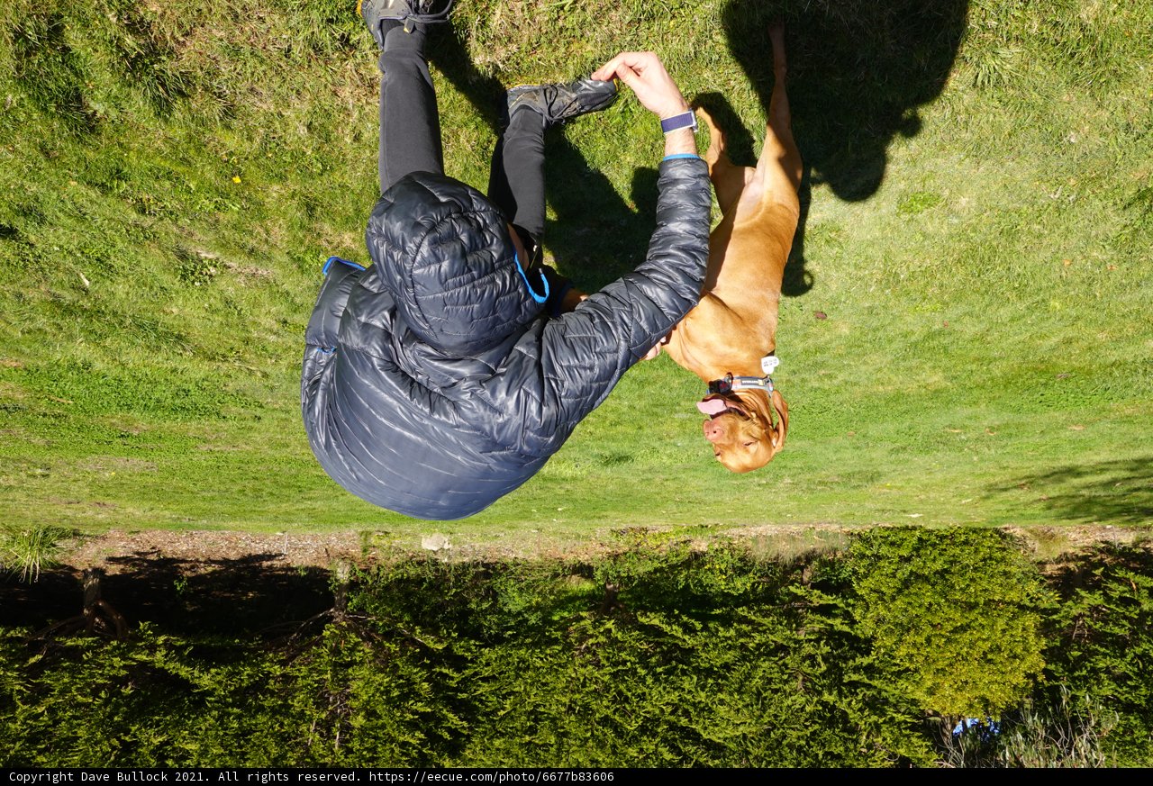 Hilltop Adventures with Man's Best Friend
