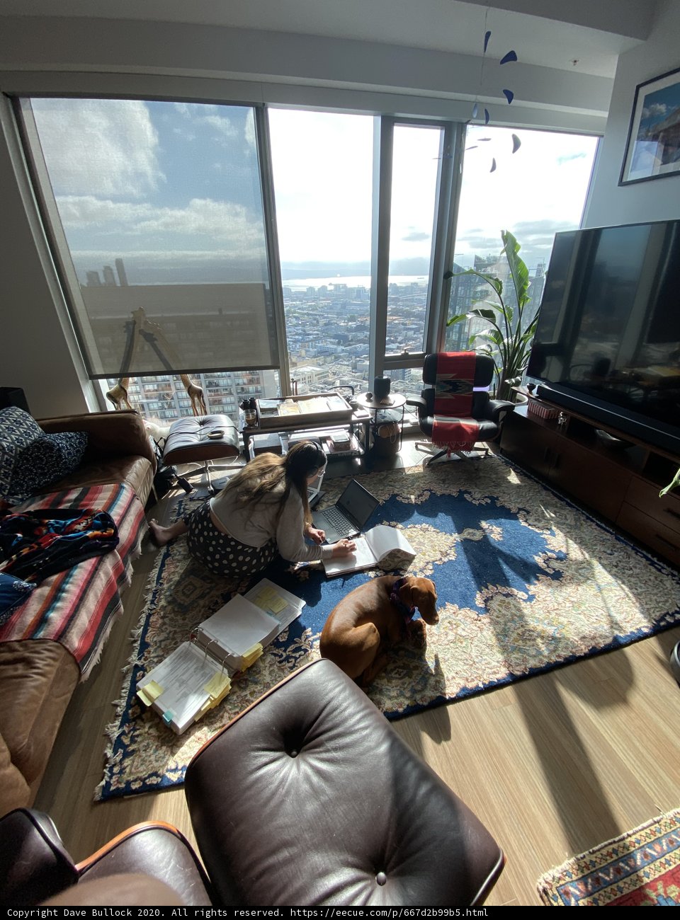 Living Room Coziness