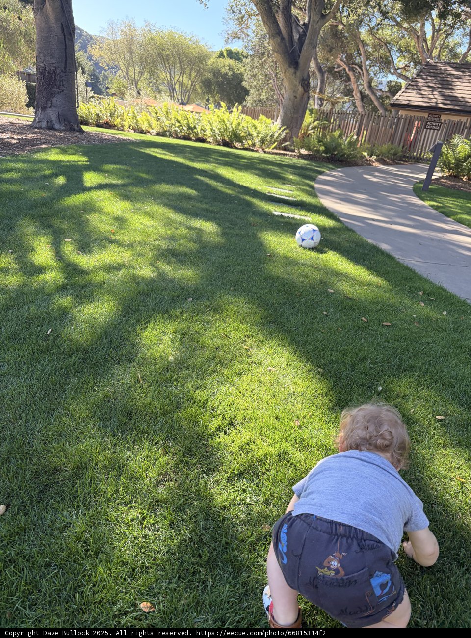 Tiny Explorer in the Backyard