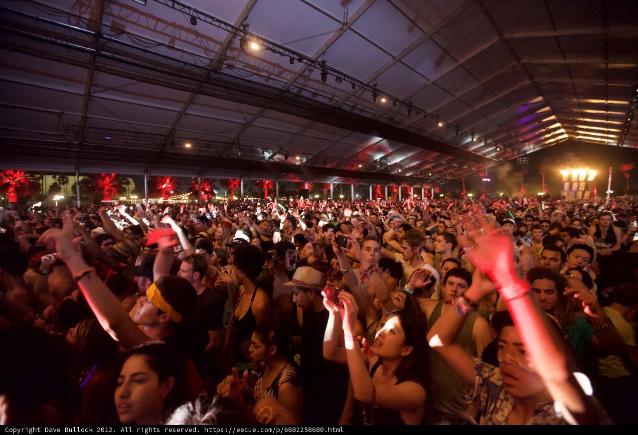 High Energy Concert Crowd