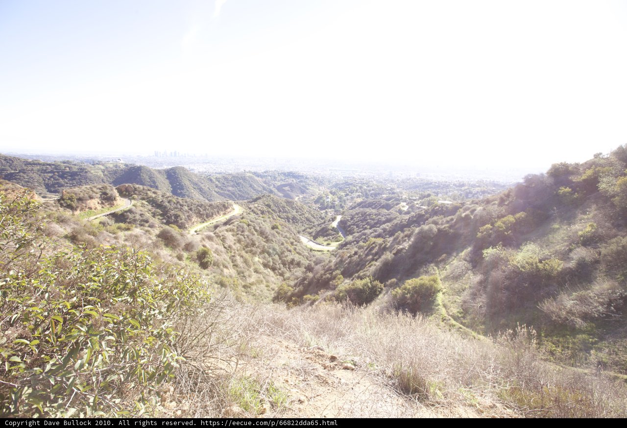 Overlooking the Wilderness