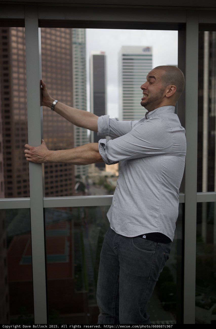 Dramatic Window Grip