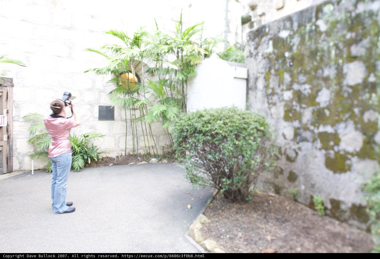 Capturing the Beauty of the Santa Barbara Mission Wall