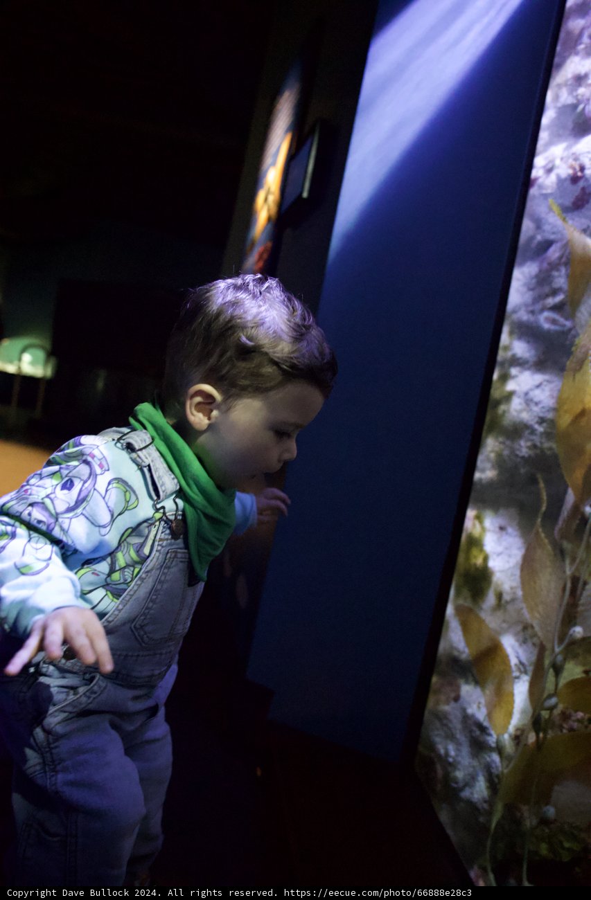 Young Explorer Discovers Underwater Wonders
